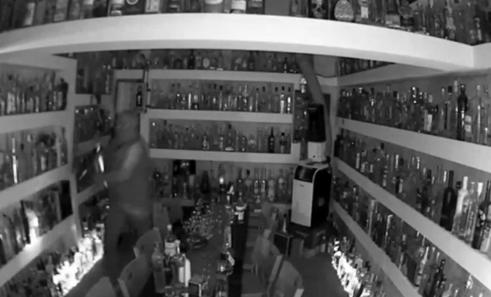 Εκλεψαν το πιο ακριβό μπουκάλι βότκας -1,3 εκατ. δολ., είχε και διαμάντια [εικόνες] | iefimerida.gr 1