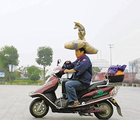 Η πλαστική σακούλα έγινε η νέα μανία του Twitter -Ξεκαρδιστικές ατάκες [εικόνες] | iefimerida.gr 5