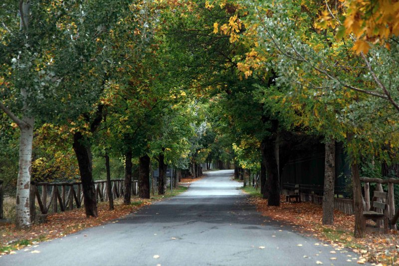 Ο «δρόμος της αγάπης» βρίσκεται στην Ελλάδα -Παραμυθένιο μονοπάτι, προορισμός ερωτευμένων [εικόνες] | iefimerida.gr 0