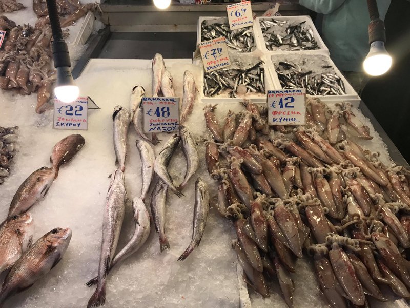 Ψαραγορά της Αθήνας- Must για τους καλοφαγάδες, σε προσιτές τιμές [εικόνες & βίντεο] | iefimerida.gr 0