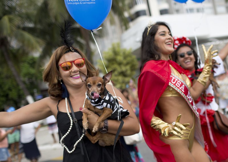 Ρίο ντε Τζανέιρο: Το διασημότερο καρναβάλι του κόσμου σε... αριθμούς [εικόνες & βίντεο] | iefimerida.gr 7