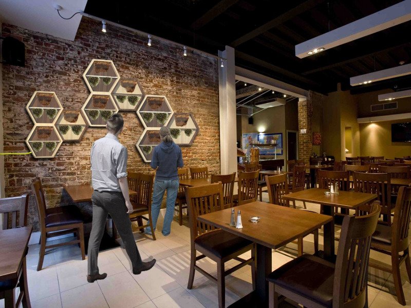 Πρωτότυπη ιδέα – Εταιρεία εγκαθιστά κυψέλες με μέλισσες στο... σαλόνι σας [εικόνες και βίντεο]  | iefimerida.gr 1