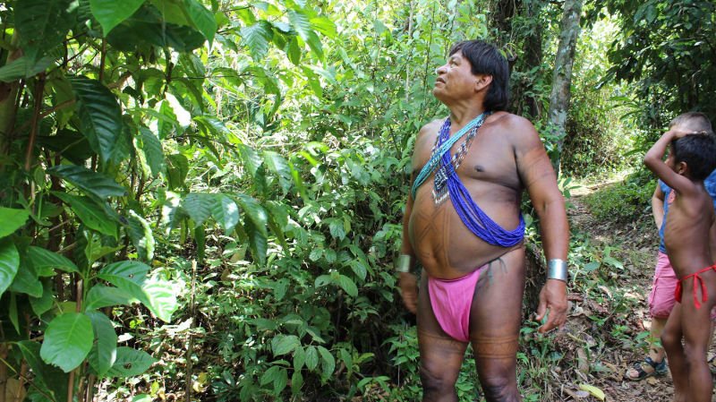 Η απομονωμένη φυλή ιθαγενών Εμπερά στο ντοκιμαντέρ του Ιάσονα Πιπίνη στο Φεστιβάλ Ντοκιμαντέρ Θεσσαλονίκης [εικόνες] | iefimerida.gr 1