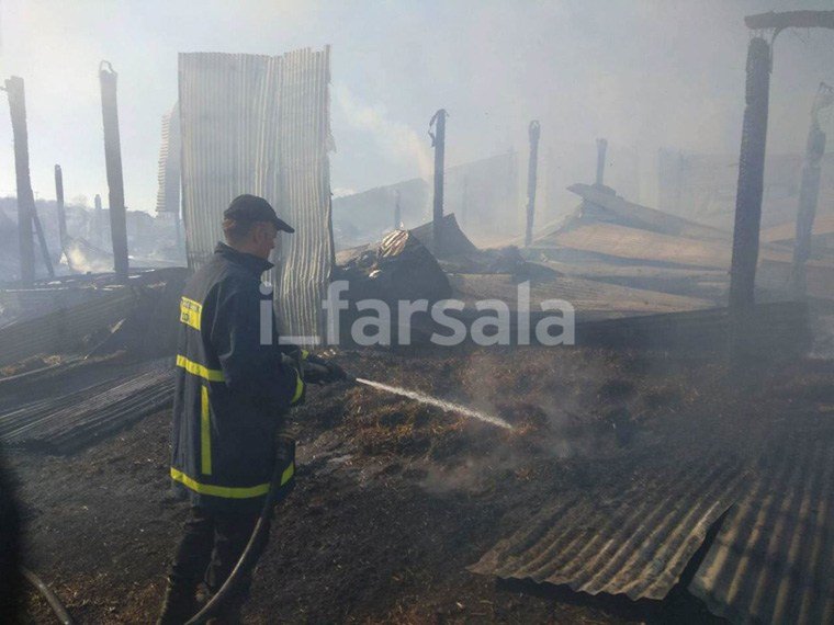 Εικόνες: Ποιμνιοστάσιο τυλίχθηκε στις φλόγες -Κάηκαν πολλά ζώα | iefimerida.gr 2