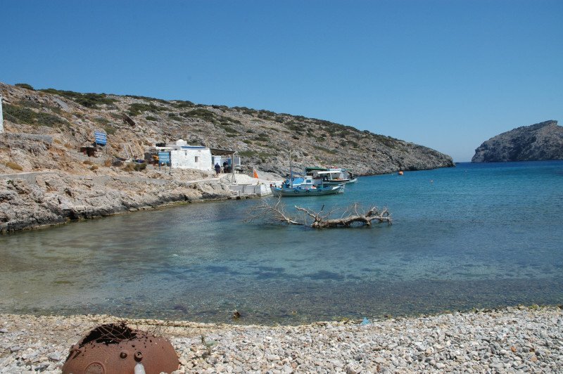 «Υιοθέτησαν» την ακριτική Κίναρο και μαζί τη μοναδική κάτοικό του! [εικόνες] | iefimerida.gr 2