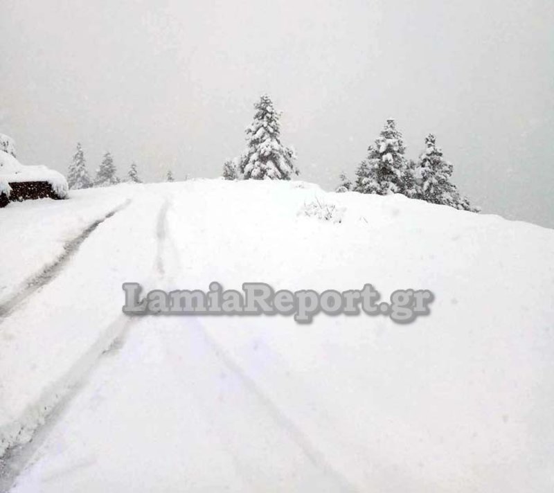 Ο «Κρέοντας» έντυσε στα λευκά τη χώρα -Πού έπεσε πολύ χιόνι [εικόνες & βίντεο] | iefimerida.gr 0