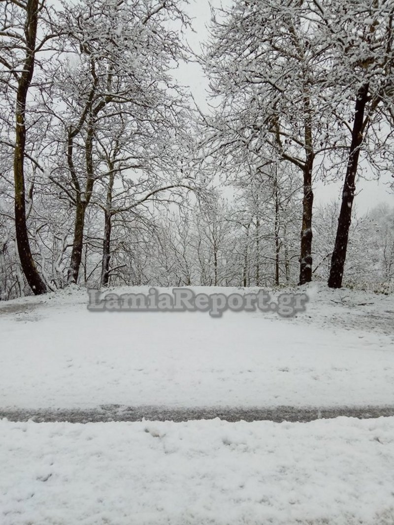 Ο «Κρέοντας» έντυσε στα λευκά τη χώρα -Πού έπεσε πολύ χιόνι [εικόνες & βίντεο] | iefimerida.gr 2