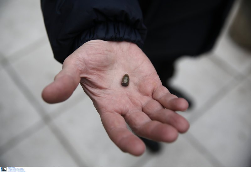 Πήγαν στο σχολείο με τις αδέσποτες σφαίρες στα χέρια -Διαμαρτυρία σε δημοτικό στο Μενίδι [εικόνες] | iefimerida.gr 6