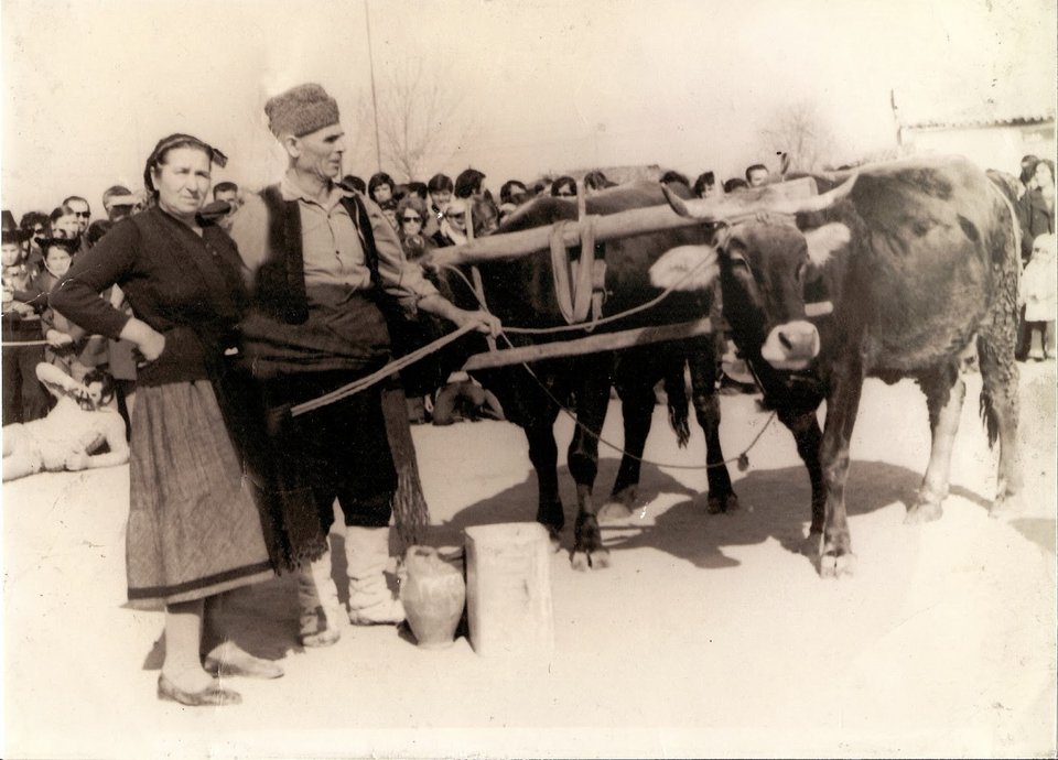 Ερχεται η Κυριακή της Τυρινής και μαζί ο Μπέης με τη συντροφιά του [εικόνες & βίντεο] | iefimerida.gr 1