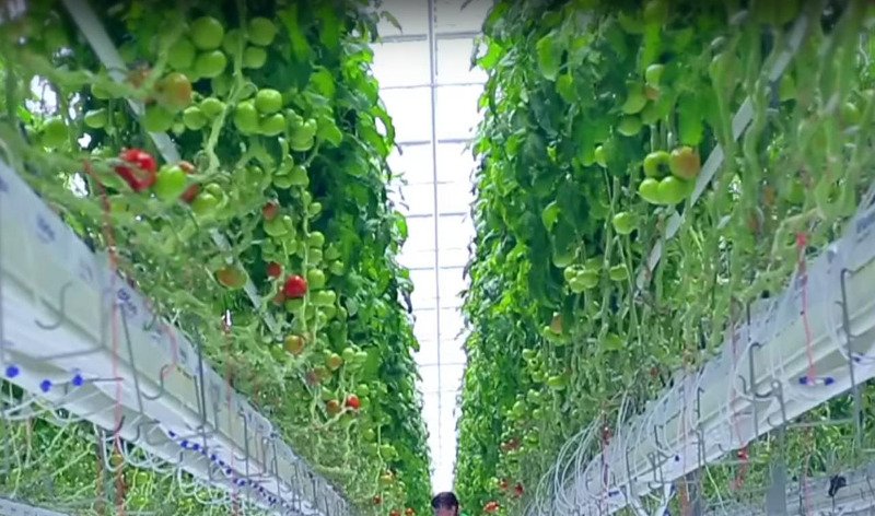 Η τεράστια πόλη που χτίζει από το μηδέν η Σ. Αραβία -33 φορές μεγαλύτερη από τη Νέα Υόρκη [εικόνες & βίντεο]  | iefimerida.gr 2