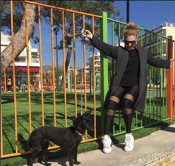 Εριξαν φόλα στον σκύλο της Σύλβιας Δελικούρα: «Ρε καθίκια, αλήτες...» [εικόνα] | iefimerida.gr 0