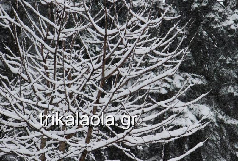 Ο «Κρέοντας» έντυσε στα λευκά τη χώρα -Πού έπεσε πολύ χιόνι [εικόνες & βίντεο] | iefimerida.gr 6