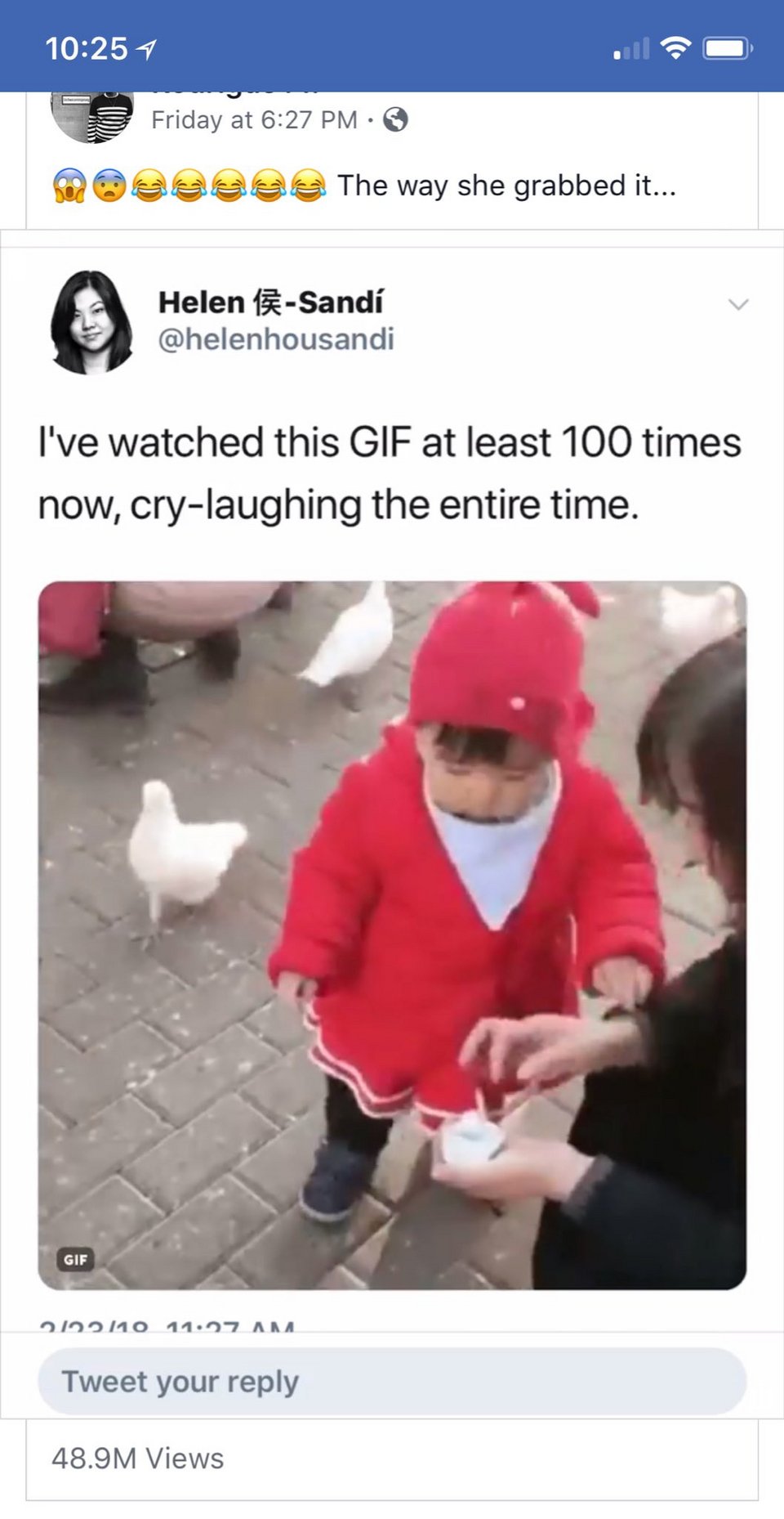 Viral: Κλαίει (από τα γέλια) όλο το Ιντερνετ  -Τρίχρονη γραπώνει περιστέρι και του κλέβει το φαγητό [βίντεο] | iefimerida.gr 0