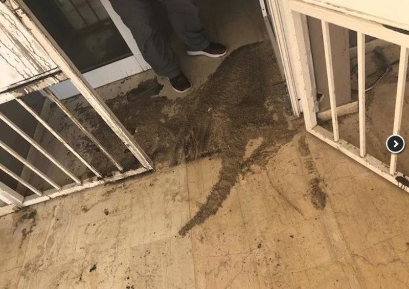 Χανιά: Βανδαλισμοί σε σχολείο για να αποτραπούν τα μαθήματα αλβανικών [εικόνες] | iefimerida.gr 1