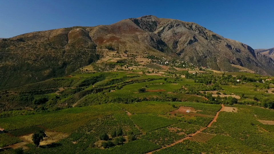 Ο Κων/νος Τσεκλένης κινηματογραφεί τη διαδικασία του κρασιού σε 40 οινοποιεία της χώρας [βίντεο]   | iefimerida.gr 2