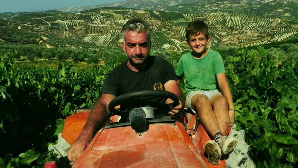 Ο Κων/νος Τσεκλένης κινηματογραφεί τη διαδικασία του κρασιού σε 40 οινοποιεία της χώρας [βίντεο]   | iefimerida.gr 4