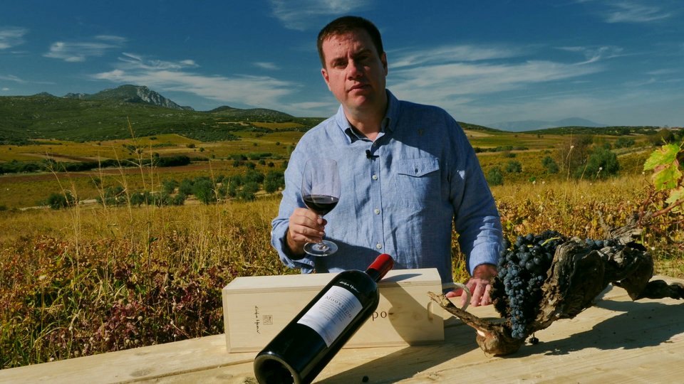 Ο Κων/νος Τσεκλένης κινηματογραφεί τη διαδικασία του κρασιού σε 40 οινοποιεία της χώρας [βίντεο]   | iefimerida.gr 3