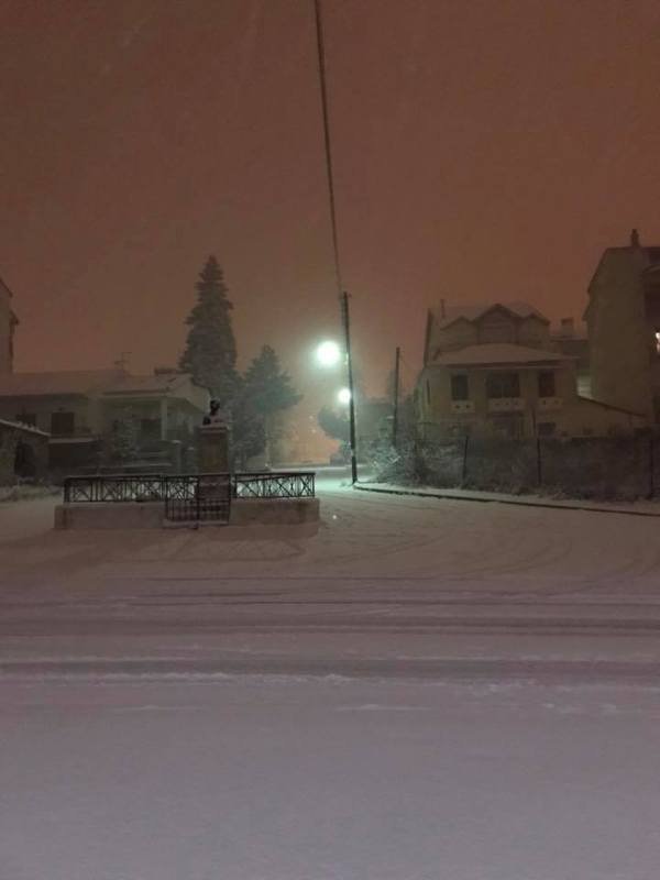 Ανοιξιάτικο χιόνι στη Φλώρινα -Το έστρωσε κανονικά, έφθασε τους 26 πόντους [εικόνες] | iefimerida.gr 18