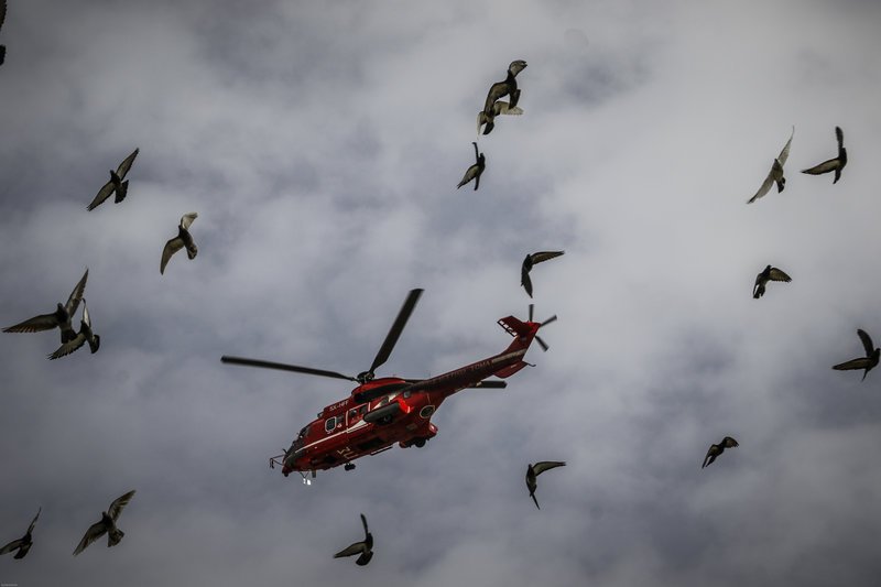 Μαχητικά και πολεμικά ελικόπτερα στον αττικό ουρανό -Εντυπωσίασαν, αλλά και ξάφνιασαν [εικόνες] | iefimerida.gr 9