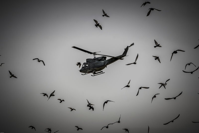 Μαχητικά και πολεμικά ελικόπτερα στον αττικό ουρανό -Εντυπωσίασαν, αλλά και ξάφνιασαν [εικόνες] | iefimerida.gr 7