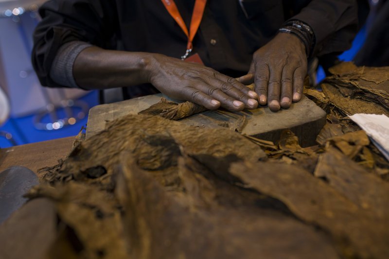 Βήμα-βήμα το τύλιγμα του χειροποίητου πούρου στην Κούβα [εικόνες & βίντεο] | iefimerida.gr 4