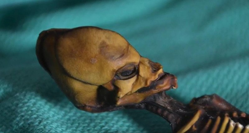 Λύθηκε το μυστήριο με τον «εξωγήινο» σκελετό που βρέθηκε σε έρημο της Χιλής [βίντεο]  | iefimerida.gr 3