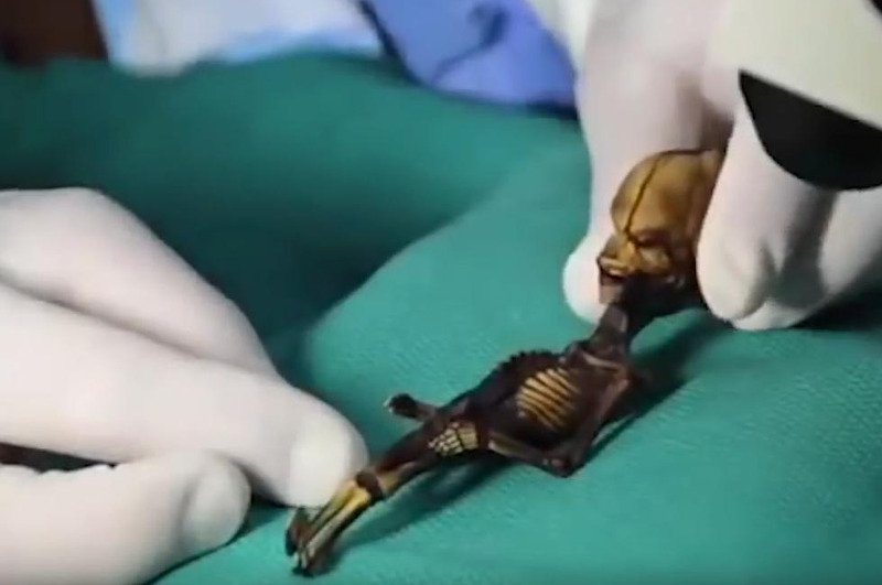 Λύθηκε το μυστήριο με τον «εξωγήινο» σκελετό που βρέθηκε σε έρημο της Χιλής [βίντεο]  | iefimerida.gr 1