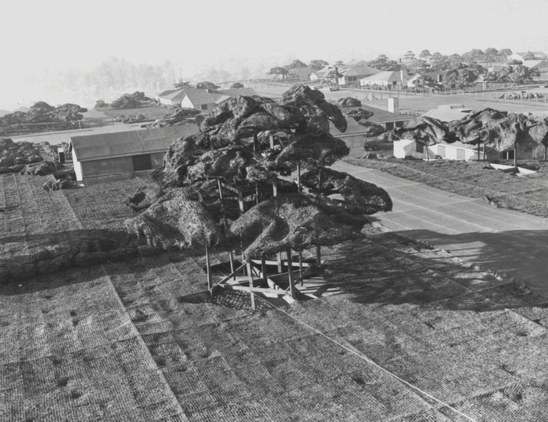 Απίστευτο: Το καμουφλάζ του εργοστασίου της Boeing στον Β' ΠΠ -Είχαν χτίσει ολόκληρη πόλη στην οροφή του! [εικόνες] | iefimerida.gr 4