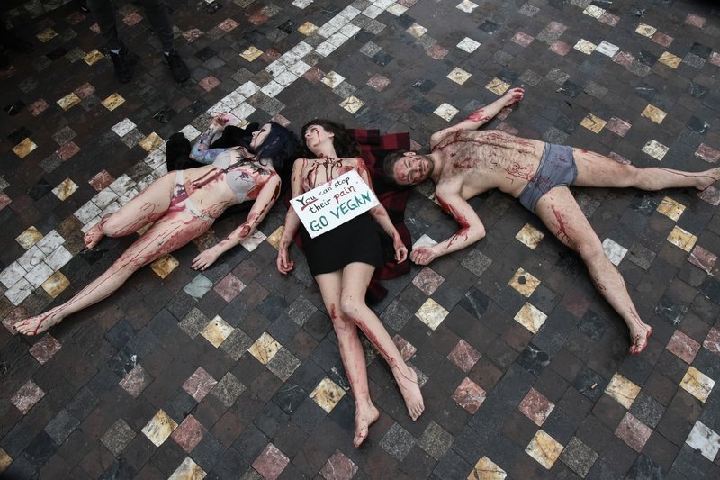  Γυμνόστηθες Vegan διαμαρτυρήθηκαν στο Μοναστηράκι για τα δικαιώματα των ζώων [εικόνες] | iefimerida.gr 2