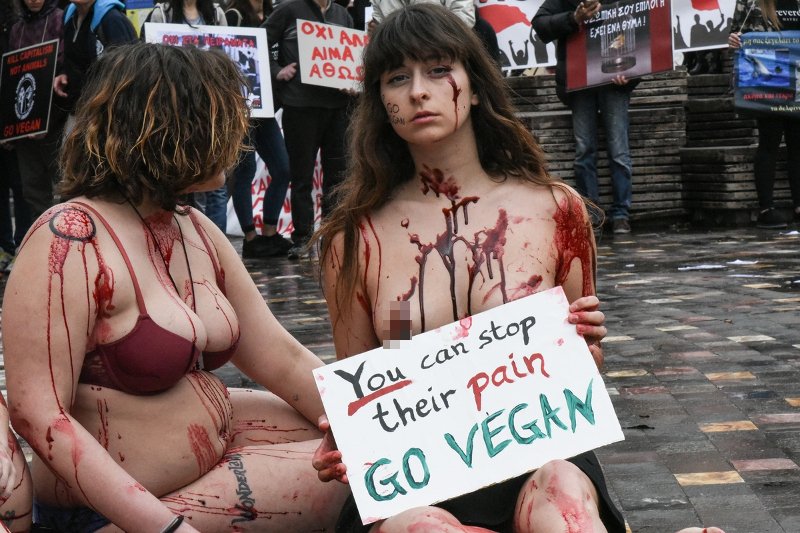  Γυμνόστηθες Vegan διαμαρτυρήθηκαν στο Μοναστηράκι για τα δικαιώματα των ζώων [εικόνες] | iefimerida.gr 4