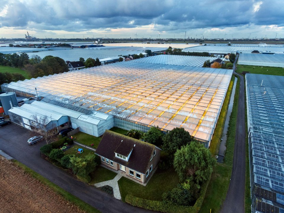 Θαύμα: Πώς η Ολλανδία έγινε ο 2ος εξαγωγέας τροφίμων παγκοσμίως [βίντεο] | iefimerida.gr 0