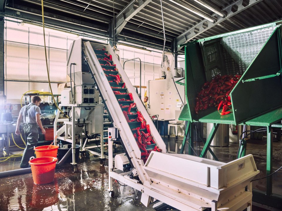 Θαύμα: Πώς η Ολλανδία έγινε ο 2ος εξαγωγέας τροφίμων παγκοσμίως [βίντεο] | iefimerida.gr 2