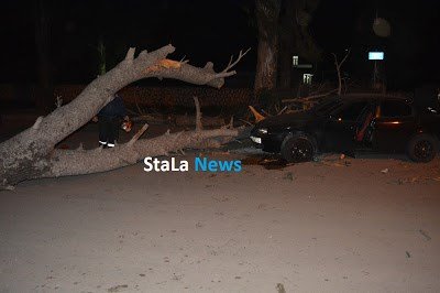Τους πήρε και τους σήκωσε στο Ναύπλιο -Οι θυελλώδεις άνεμοι ξερίζωσαν δένδρα [εικόνες & βίντεο] | iefimerida.gr 0