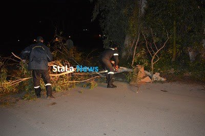 Τους πήρε και τους σήκωσε στο Ναύπλιο -Οι θυελλώδεις άνεμοι ξερίζωσαν δένδρα [εικόνες & βίντεο] | iefimerida.gr 2