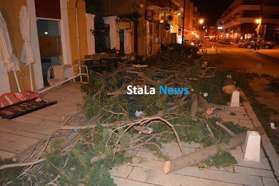 Τους πήρε και τους σήκωσε στο Ναύπλιο -Οι θυελλώδεις άνεμοι ξερίζωσαν δένδρα [εικόνες & βίντεο] | iefimerida.gr 3