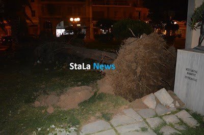 Τους πήρε και τους σήκωσε στο Ναύπλιο -Οι θυελλώδεις άνεμοι ξερίζωσαν δένδρα [εικόνες & βίντεο] | iefimerida.gr 4