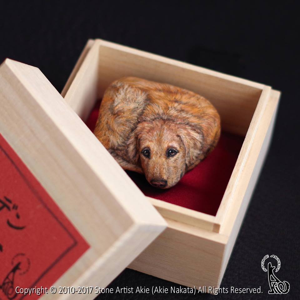 Αυτή η Γιαπωνέζα... ζωντανεύει τις πέτρες! [εικόνες] | iefimerida.gr 6