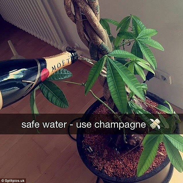 Ετσι προκαλούν τα κακομαθημένα πλουσιόπαιδα του Instagram -Οι απίστευτες συνήθειές τους [εικόνες] | iefimerida.gr 5