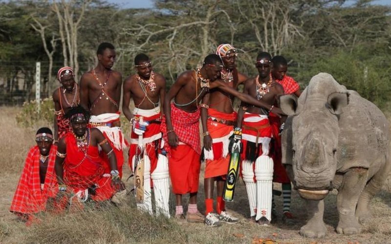 Πέθανε ο τελευταίος αρσενικός λευκός ρινόκερος [εικόνες] | iefimerida.gr 2