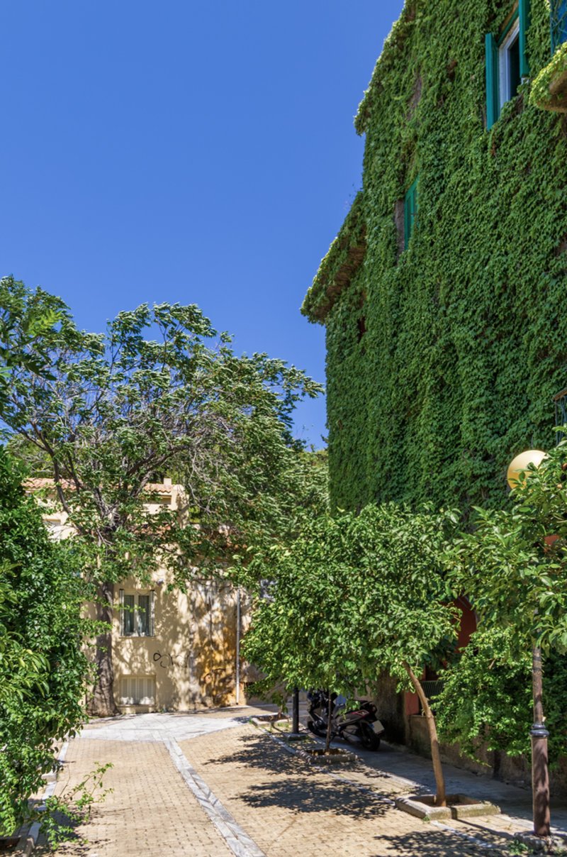 9 διαδρομές στο κέντρο της Αθήνας για περπάτημα -Δεν θα σε πατήσουν αυτοκίνητα, θα χαζέψεις πράσινο και νεοκλασικά [εικόνες] | iefimerida.gr 14