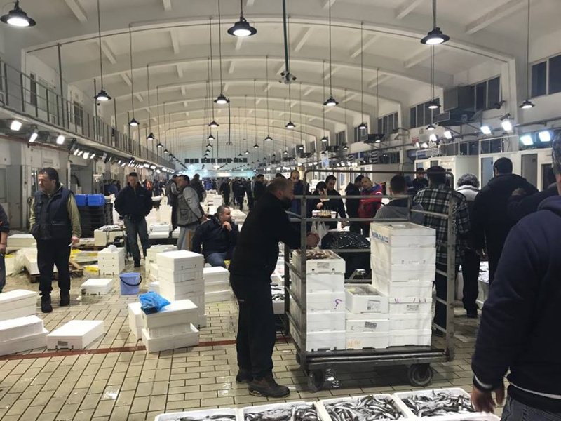 Ξημερώματα στην Ιχθυόσκαλα Κερατσινίου -Εκεί που οι σεφ βρίσκουν το πιο φρέσκο ψάρι [εικόνες & βίντεο] | iefimerida.gr 0