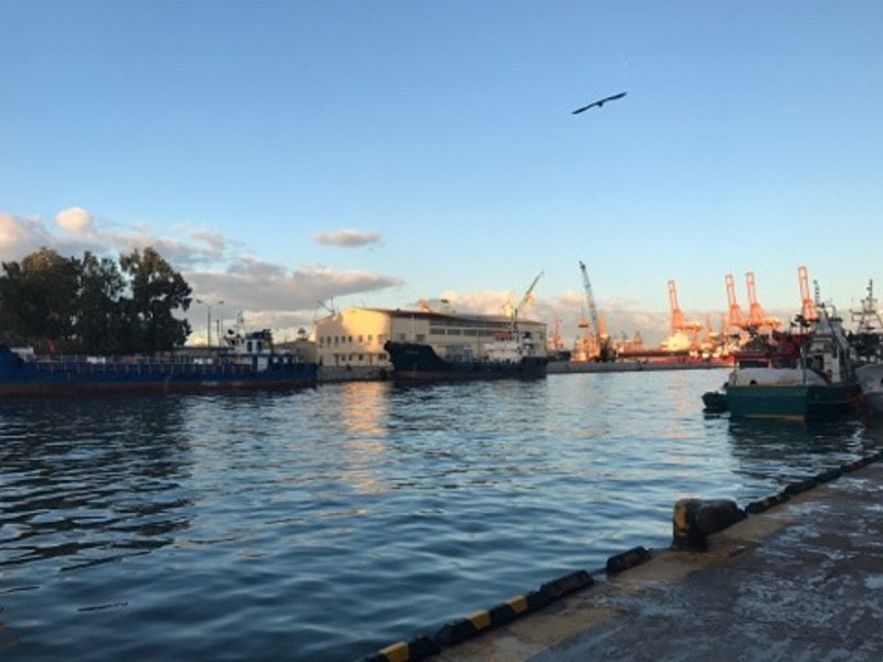 Ξημερώματα στην Ιχθυόσκαλα Κερατσινίου -Εκεί που οι σεφ βρίσκουν το πιο φρέσκο ψάρι [εικόνες & βίντεο] | iefimerida.gr 2