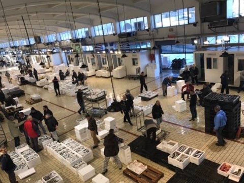 Ξημερώματα στην Ιχθυόσκαλα Κερατσινίου -Εκεί που οι σεφ βρίσκουν το πιο φρέσκο ψάρι [εικόνες & βίντεο] | iefimerida.gr 6