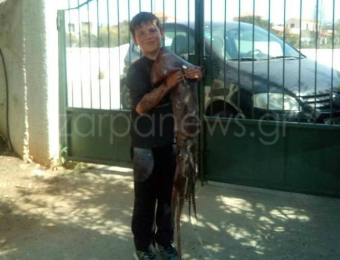 Κρήτη: 10χρονος έβγαλε θράψαλο-γίγα! [εικόνα & βίντεο] | iefimerida.gr 0