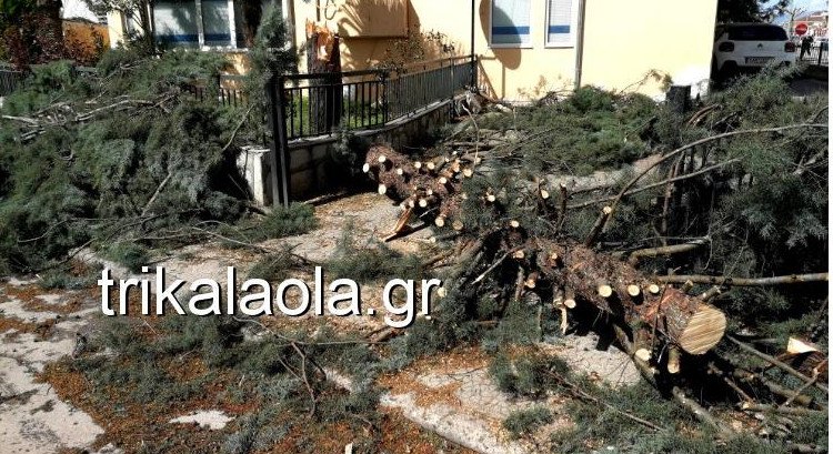  Σφοδρή ανεμοθύελλα έπληξε τα Τρίκαλα- Ξεριζώθηκαν δέντρα, ξηλώθηκαν σκεπές [εικόνες&βίντεο] | iefimerida.gr 1