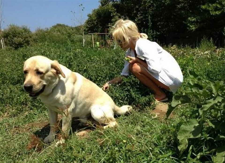 Αχλα, ο παράδεισος της Ελένης Μενεγάκη -Το σπίτι της παρουσιάστριας [εικόνες] | iefimerida.gr 14