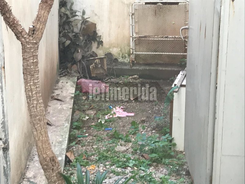 Θρίλερ στη Νέα Σμύρνη: Αναπάντητα ερωτηματικά για το νεκρό βρέφος σε ακάλυπτο [εικόνες & βίντεο] | iefimerida.gr 0