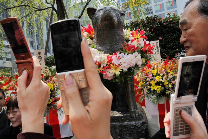 Ακίτα, η ράτσα σκύλων που κλέβει καρδιές -Σαν το Χάτσικο που περίμενε 10 χρόνια το αφεντικό του [εικόνες] | iefimerida.gr 3