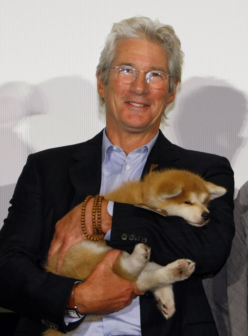 Ακίτα, η ράτσα σκύλων που κλέβει καρδιές -Σαν το Χάτσικο που περίμενε 10 χρόνια το αφεντικό του [εικόνες] | iefimerida.gr 2