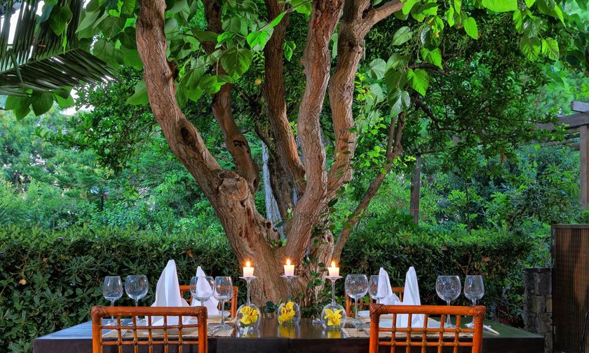 Διαφορετική διάκριση: Ξενοδοχείο στην Κρήτη ανάμεσα στα κορυφαία για vegan παγκοσμίως [εικόνες] | iefimerida.gr 0